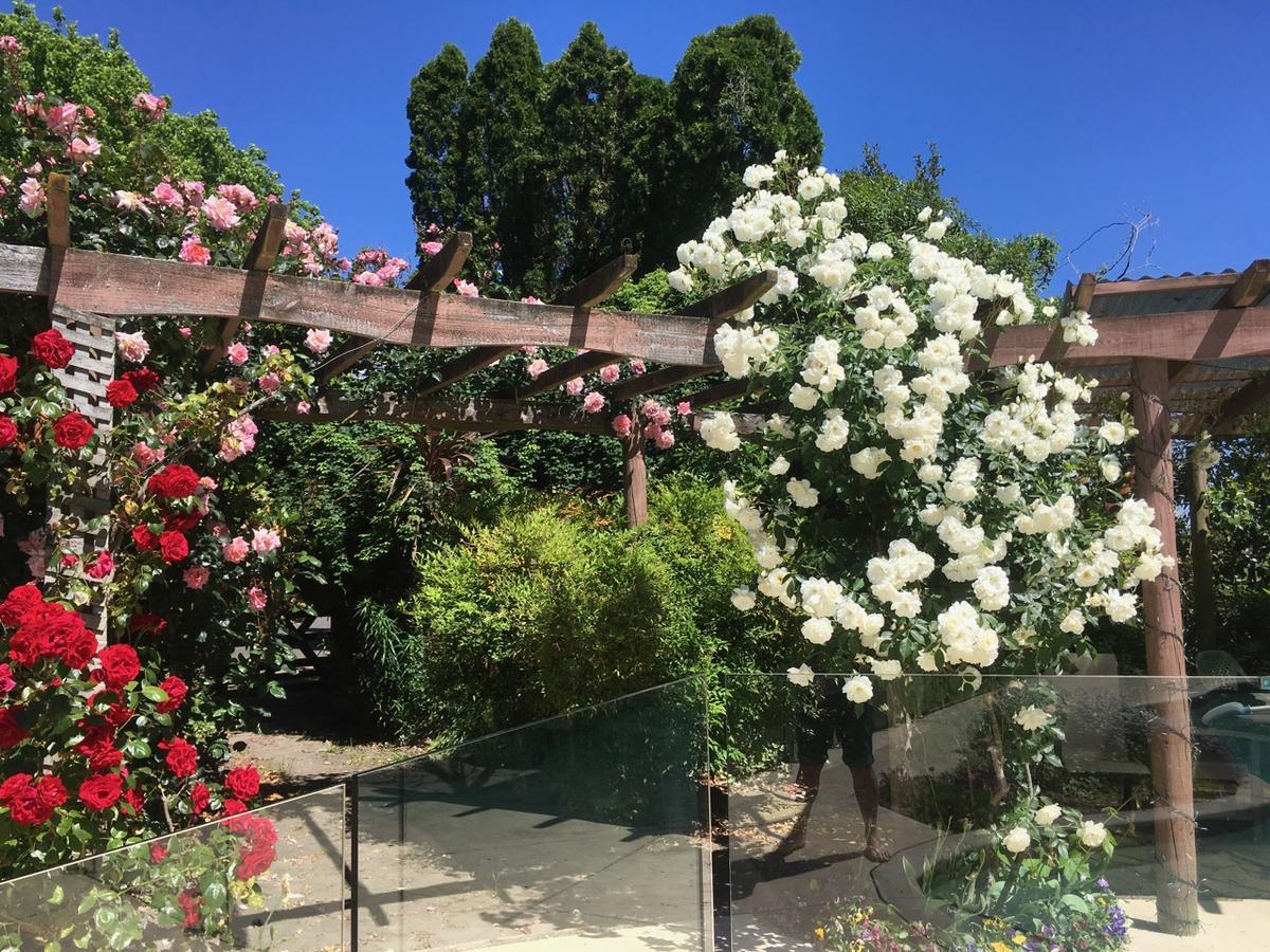 蓝钟小屋旅馆 哈士汀 外观 照片